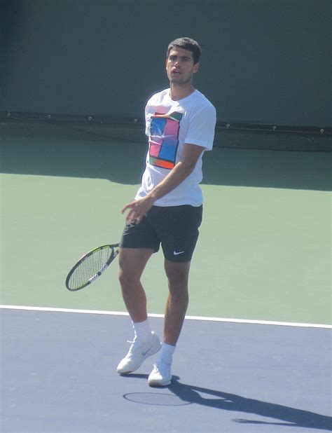 Tennis Grand Slam Predictions .